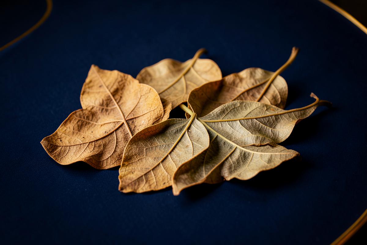Leaves — botanical ingredients supplied and exported by Mauryansh Impex